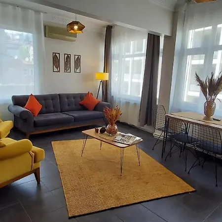 公寓 Classy Flat Findikli-taksim 伊斯坦布尔