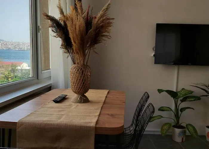 Classy Flat Findikli-taksim * Istanbulská provincie